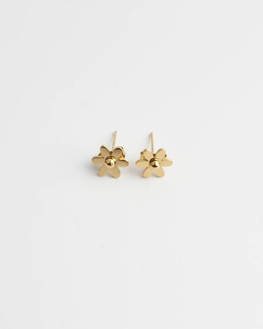 Daisy Flower - Stud - Earrings - Stainless Steel