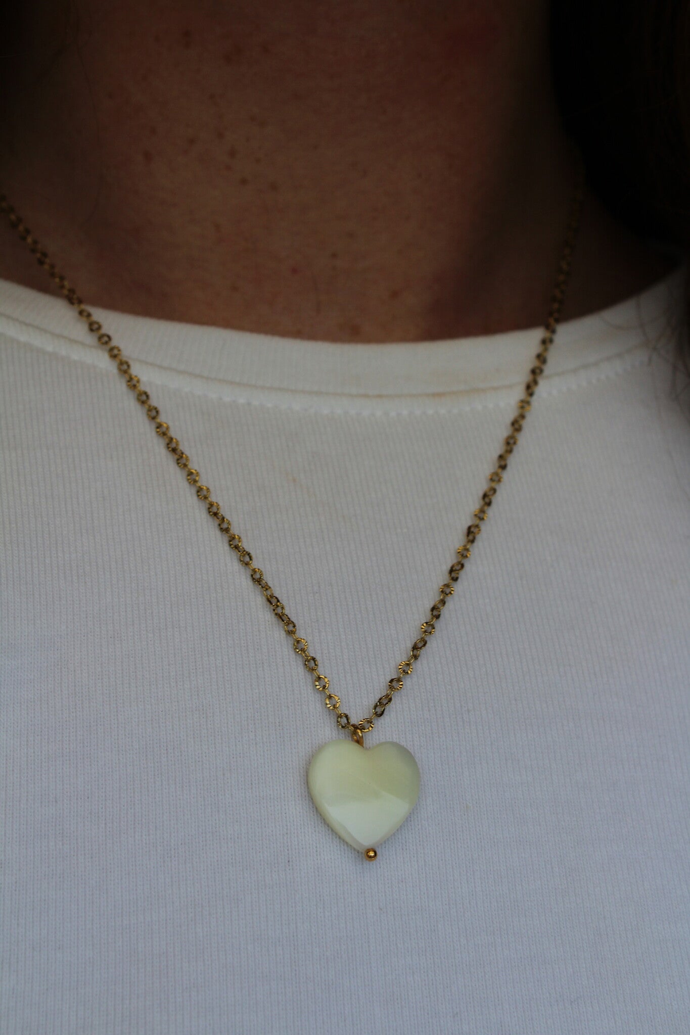 Heart Shaped Shell - Necklace - Stainless Steel